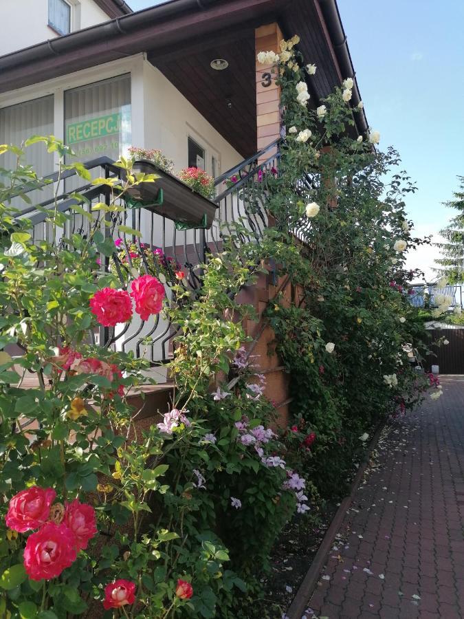Gosciniec Pod Roza Lejlighed Chełmno Eksteriør billede